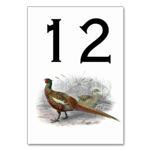 Numeração De Mesa Vintage Pheasant Game Bird Drawing Color 2