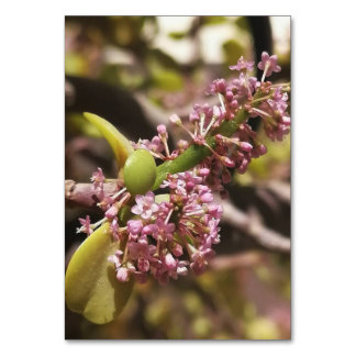 Numeração De Mesa Visualização do ambiente real