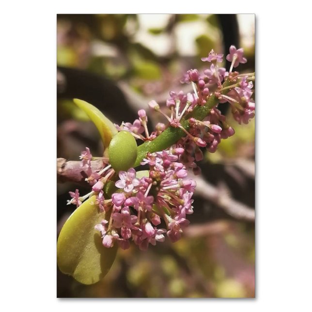 Numeração De Mesa Visualização do ambiente real (Verso)