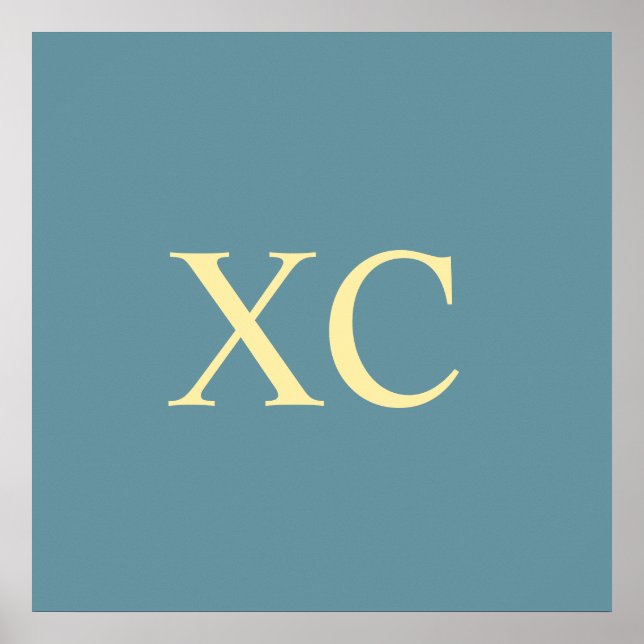 Numeral romano 90 Poster (Frente)