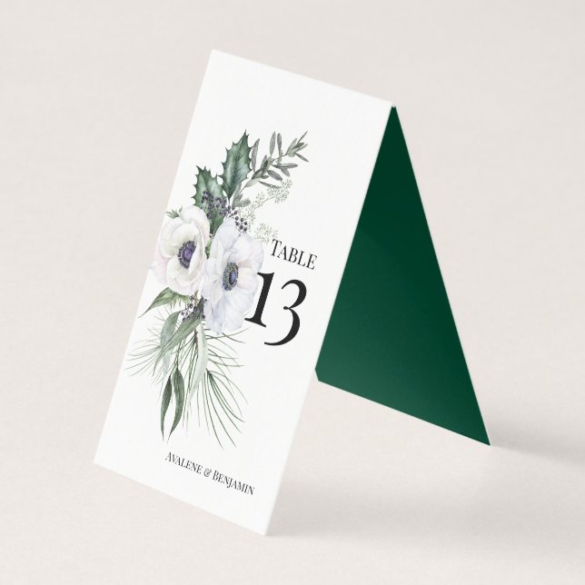 Número da Tabela Pintada Pelas Mãos Invernos (Verso)