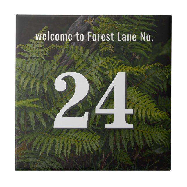 Número de Casa/ Apartamento personalizado com sama (Frente)