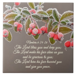 Números 6 24-26 O Senhor abençoa-te e mantém-te