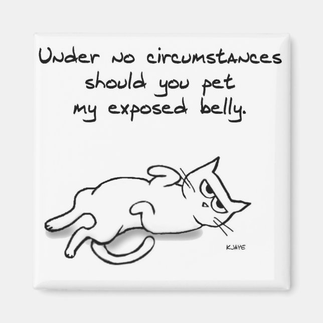 Nunca Coloque a barriga de gato - Imã de geladeira (Frente)