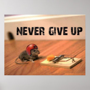 Nunca dê acima o poster do rato