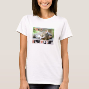 Nunca Obedecerá (luz) à camisa