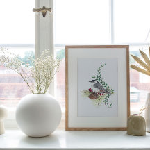 Nuthatch Bird Art Impressão