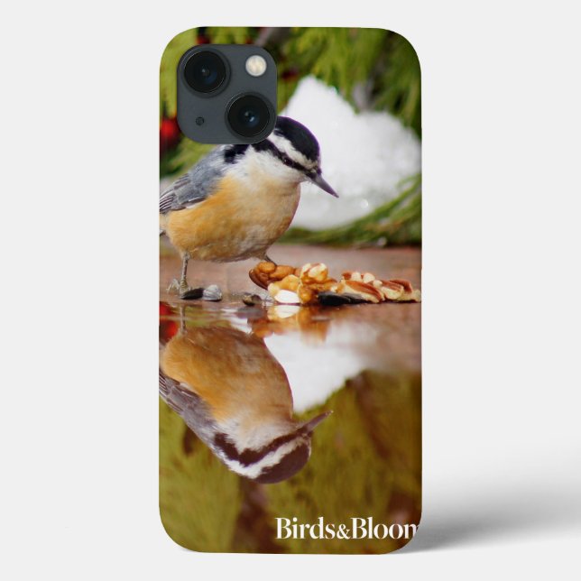 Nuthatch de peito vermelho (Verso)