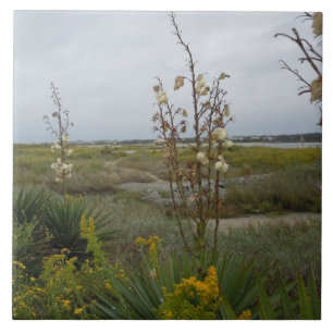 Nuvens da praia e Wildflowers - ilha do carvalho,