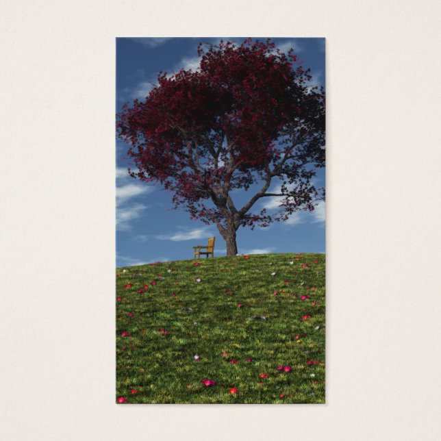 Nuvens navegam por marcadores (Frente)