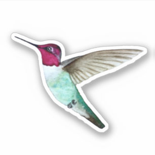 O adesivo de Hummingbird da Anna