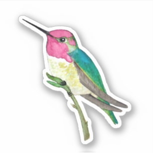 O adesivo de Hummingbird da Anna