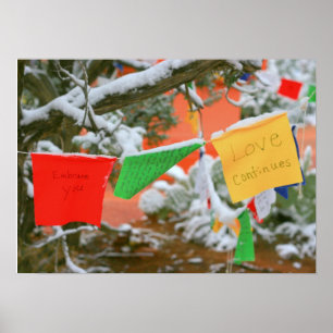 O amor continua a poster