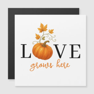 O AMOR cresce aqui   Letra Pumpkin com Íman de out