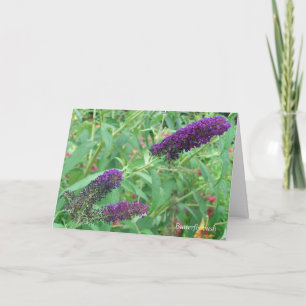 O amor é como um cartão de saudação de citação de 