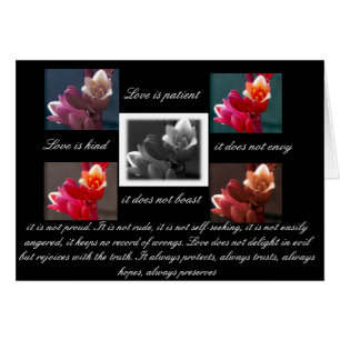 o amor é o amor paciente é gentil com o cartão de