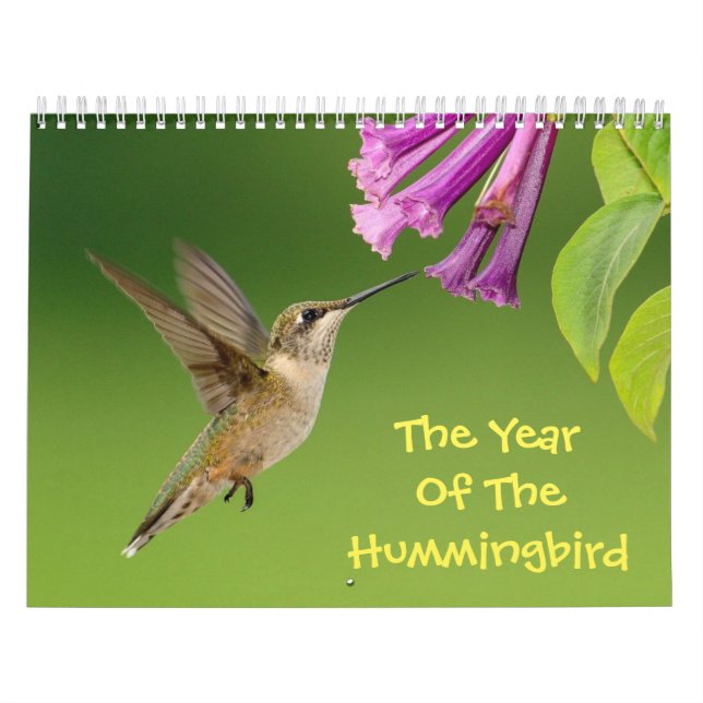 O Ano Do Calendário Do Hummingbird (Capa)