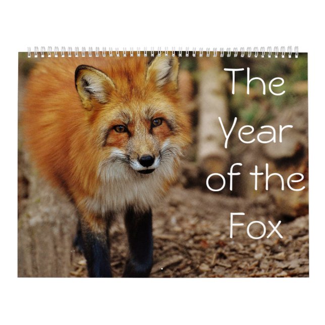 O Ano do Calendário Fox (Capa)