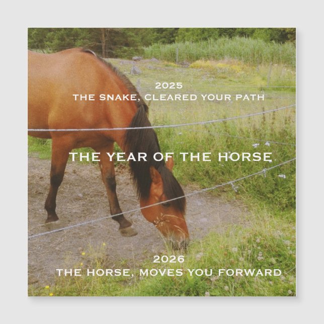 O ano do Cavalo, 2026  (Frente)