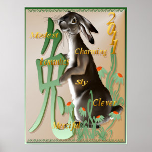 O ano do poster do coelho