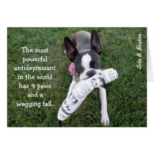 O antidepressivo o mais poderoso… CARTÃO VAZIO