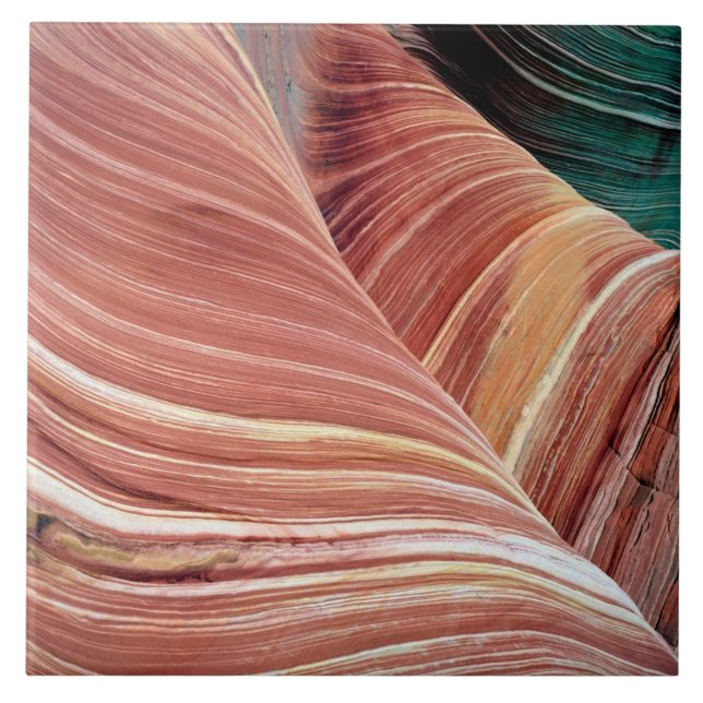 O arenito Navajo era erodido por água e vento em (Frente)