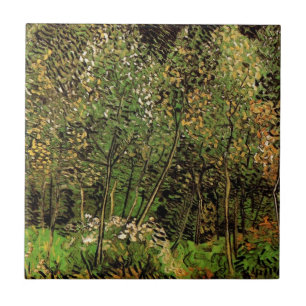 O arvoredo por Vincent van Gogh