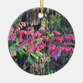 O Autumn Deixa O Ornamento De Fotos