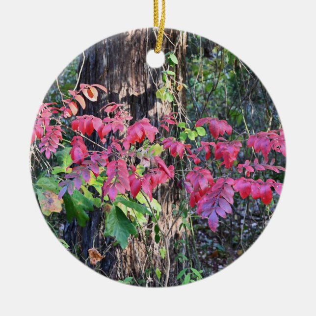 O Autumn Deixa O Ornamento De Fotos (Frente)