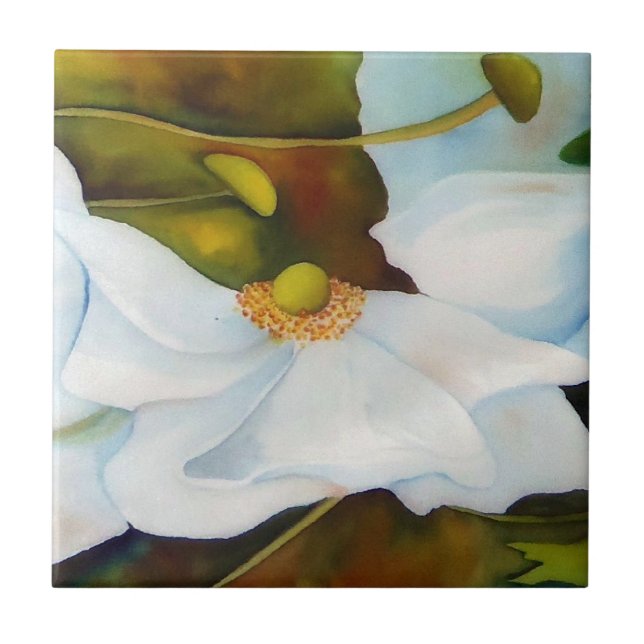 O azulejo/benevolência abunda coleção (Frente)