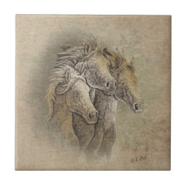 O Azulejo cerâmico dos cavalos