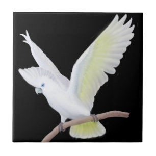 O azulejo do papagaio de Cockatoo de DuCorps