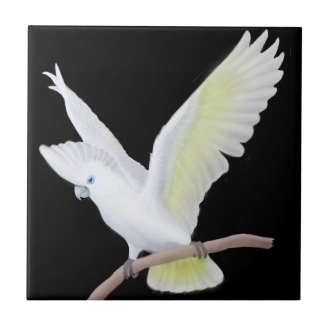 O azulejo do papagaio de Cockatoo de DuCorps (Frente)