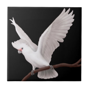 O azulejo do papagaio de Cockatoo de Goffins