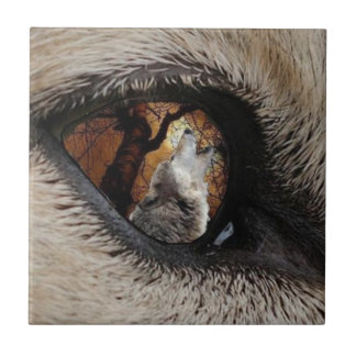 O azulejo ou o Trivet do observador