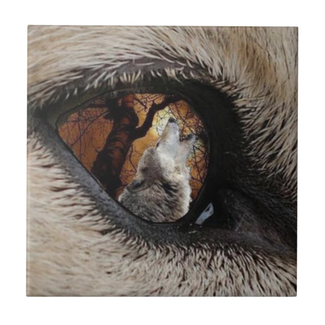 O azulejo ou o Trivet do observador (Frente)