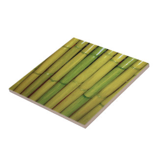 O bambu do verde do zen do asiático | desengaça a