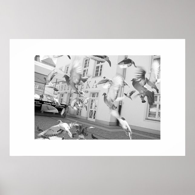 O bando - Impressão de enquadramento (Frente)