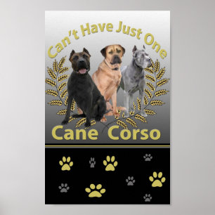 O bastão Corso não pode ter os posters apenas um