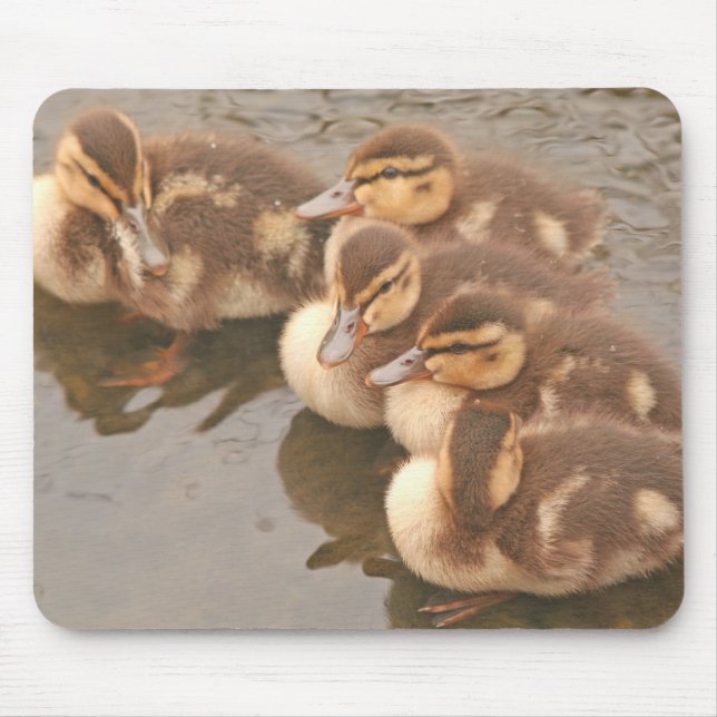 O bebê Ducks animais selvagens Mousepad dos (Frente)