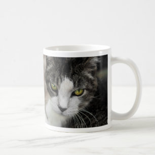 O Bebê parece uma caneca de café