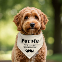O bigode retrorreflector me coloca em texto preto