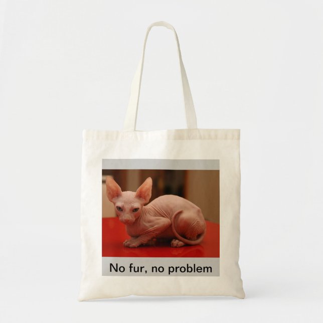 o bolsa com um gatinho bonito do sphynx (Frente)