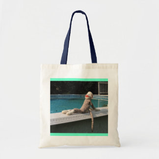 O bolsa da piscina