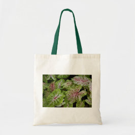 O bolsa de Gingerland do Caladium