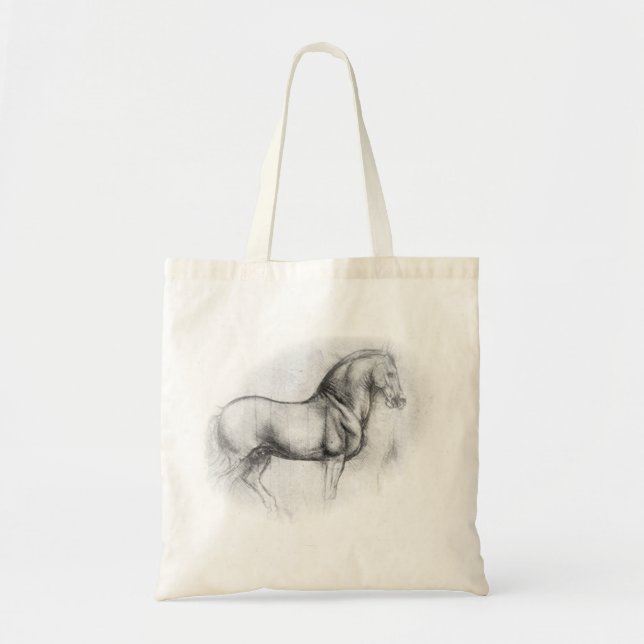 O bolsa do cavalo de Leonardo da Vinci (Frente)