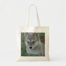 O bolsa do filhote de cachorro de lobo