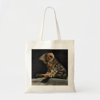 O bolsa do orçamento do gatinho