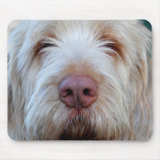 O Booper Mousepad de Luigi (Frente)