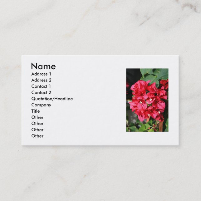 O Bougainvillea floresce o cartão de visita (Frente)